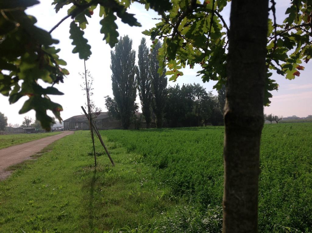 Corte Motte Pegognaga Zewnętrze zdjęcie