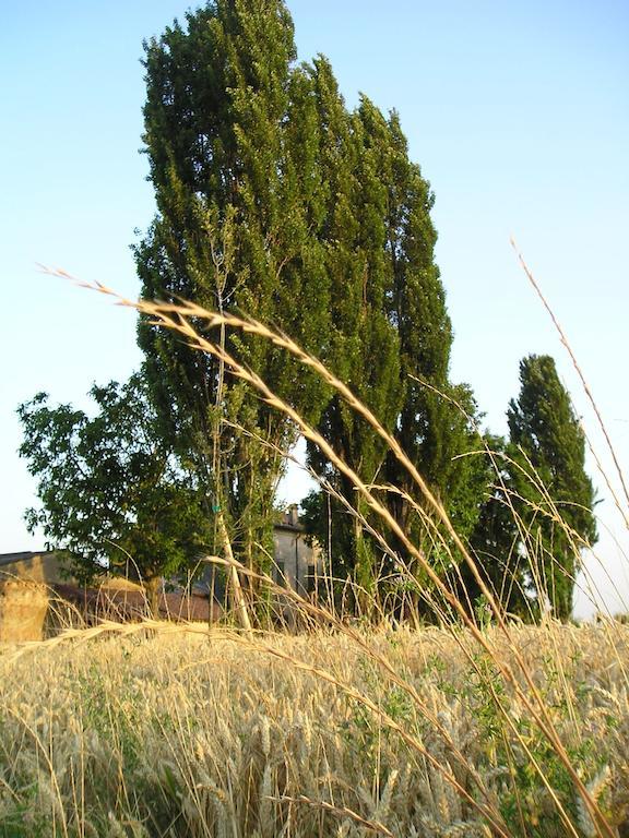 Corte Motte Pegognaga Zewnętrze zdjęcie